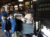 038-arrivano le famiglie.jpg